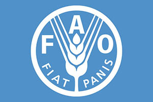 Логотип FAO