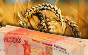 Деньги на фоне пшеницы